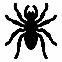Bold Tarantula Silhouette Vector Art