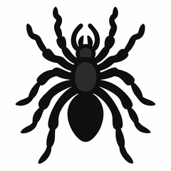 Bold Tarantula Silhouette Vector Art