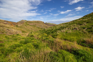 Meadows with grass in Madeira