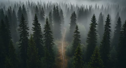 Keuken achterwand Bosweg Whispers of the Forest Path AI Generated  © JosLuis