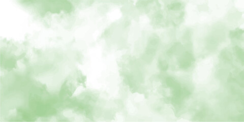 Abstract light green background with grunge backdrop texture, smooth plaster painted mottled blue grunge Rays distressed texture and a grunge design. green green and white watercolor sky 