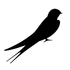 Elegant silhouette of a barn swallow soaring through the air with grace