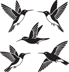 Set of humming bird silhouette vector illustration
