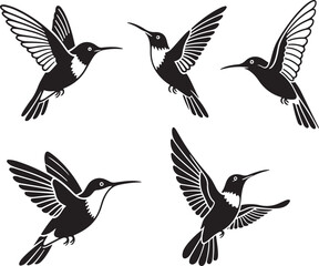 Fototapeta premium Set of humming bird silhouette vector illustration