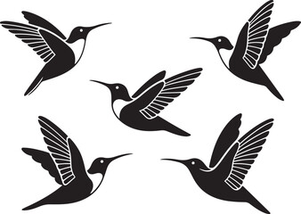 Set of humming bird silhouette vector illustration