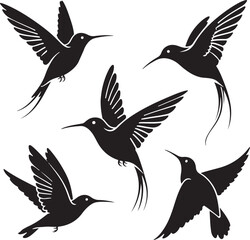Set of humming bird silhouette vector illustration