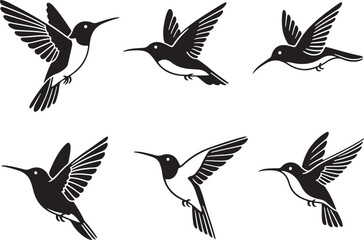 Set of humming bird silhouette vector illustration