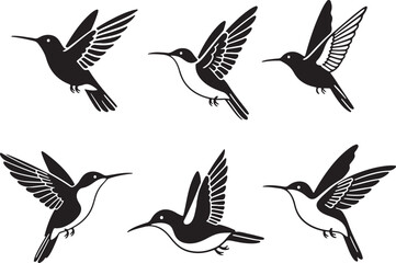 Set of humming bird silhouette vector illustration