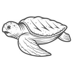Leatherback Sea Turtle Line Art Illustration