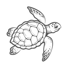 Kemp's Ridley Sea Turtle Line Art Illustration