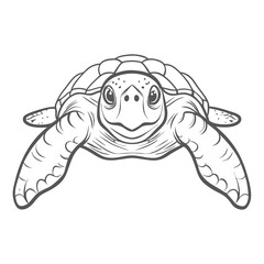Loggerhead Sea Turtle Line Art Illustration