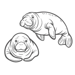 Cute Manatees Outline Illustration, Marine Mammals