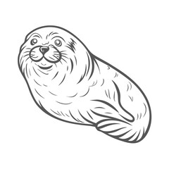 Cute Sea Otter Outline Drawing Illustration