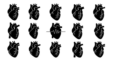 Anatomy heart vector illustration medical diagram human organ cardiovascular system healthcare concept design
