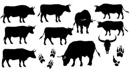 Naklejka premium vector silhouettes of cows