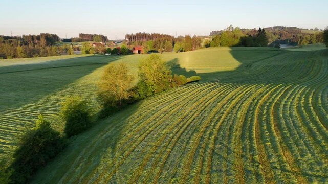 Drone View Over Agricultural Fields, Mowed Grass and Rural Farmland