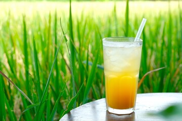 Fresh Apple tea in glass. Pressed juice apple blended with early grey tea and ice. Cold drink for summer. Es teh apel