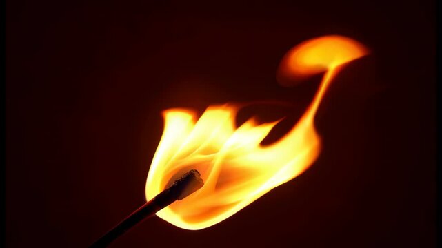 A lit match stick with a vibrant flame against a dark backdrop. The flame is bright, capturing attention. The scene is simple yet powerful