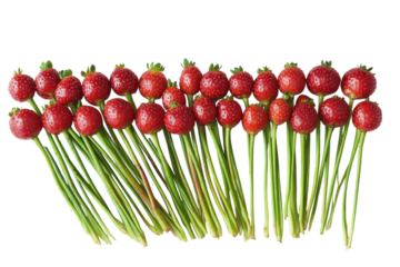 A vibrant bouquet of strawberries a unique and delightful arrangement of juicy red berries on bright