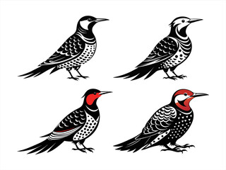 northern flicker sihouette black vector bundle