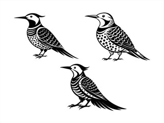 northern flicker sihouette black vector bundle