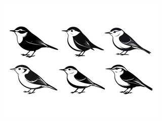 nuthatch sihouette black vector bundle