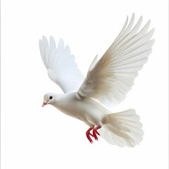 Fototapeta premium Elegant White Bird in Flight with Graceful Feathered Wings