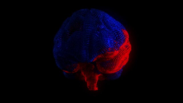 3D Hollow Brain Model Made of Points Rotating Left to Right with Highlighted Red Mapped Regions and Dark Blue Base on Black Background &ndash; Neural Visualization Animation