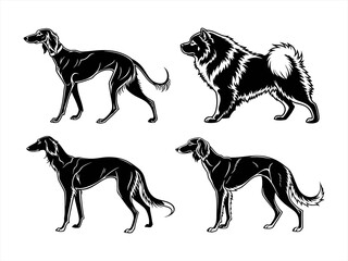 saluki sihouette black vector bundle