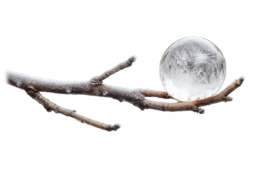 Frozen sphere rests on a frosty winter branch a delicate scene of nature s beauty in crisp white