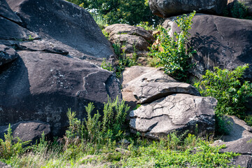 An expansive rocky outcrop features large boulders and resilient green vegetation. Sunlight bathes the area, highlighting the textures and shades of the rocks and plants.
