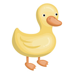 cute duck illustration