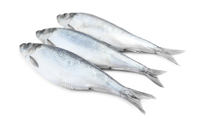 Three whole salted herrings on white background