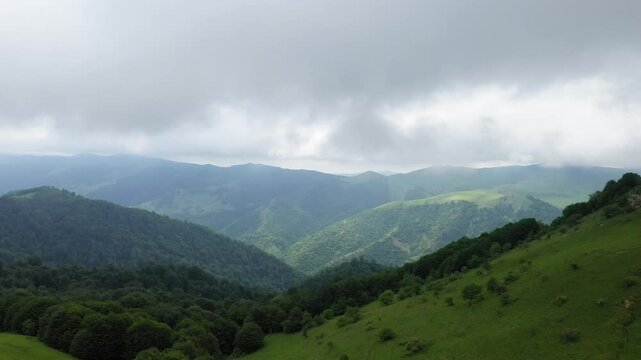 Beautiful nature view  from above