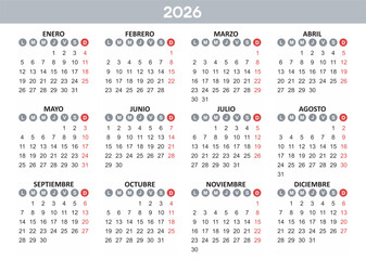 Calendar 2026 Year mockup. Spanish version. Annual horizontal template with round days of the week. Modern design. Editable format. EPS10.
