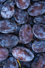 Fresh plums background. Top view. Organic food.