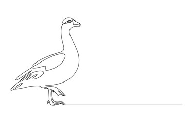 Domestic goose continuous one line drawing,Duck in continuous line art drawing style. Abstract duck walking minimalist