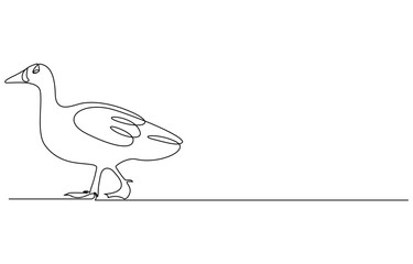 Domestic goose continuous one line drawing,Duck in continuous line art drawing style. Abstract duck walking minimalist