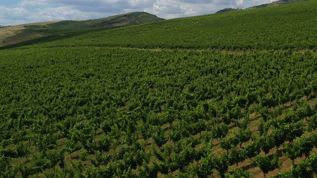 Wine valley
