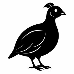 Classic Black Quail Shape Illustration