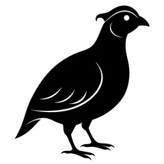 Classic Black Quail Shape Illustration