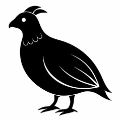 Classic Black Quail Shape Illustration
