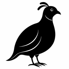 Classic Black Quail Shape Illustration