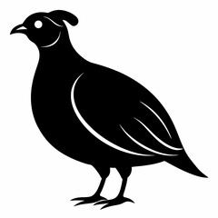 Classic Black Quail Shape Illustration