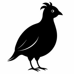 Classic Black Quail Shape Illustration