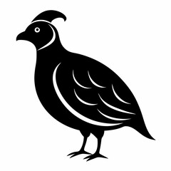 Classic Black Quail Shape Illustration