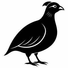 Classic Black Quail Shape Illustration