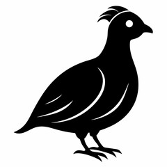 Classic Black Quail Shape Illustration