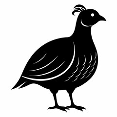 Classic Black Quail Shape Illustration