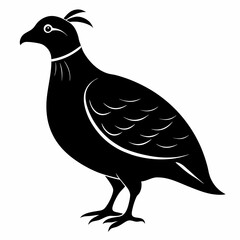 Classic Black Quail Shape Illustration